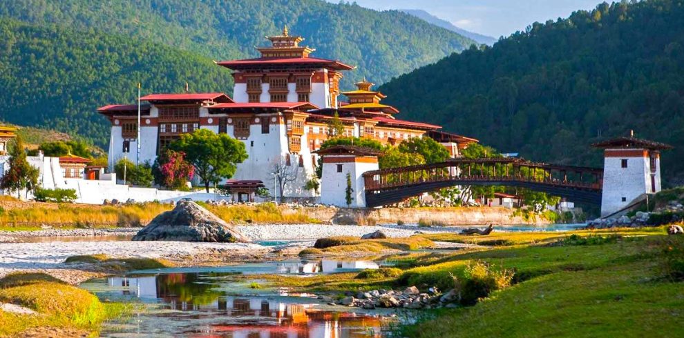 <yellow-tag>Highlights</yellow-tag> of Tours