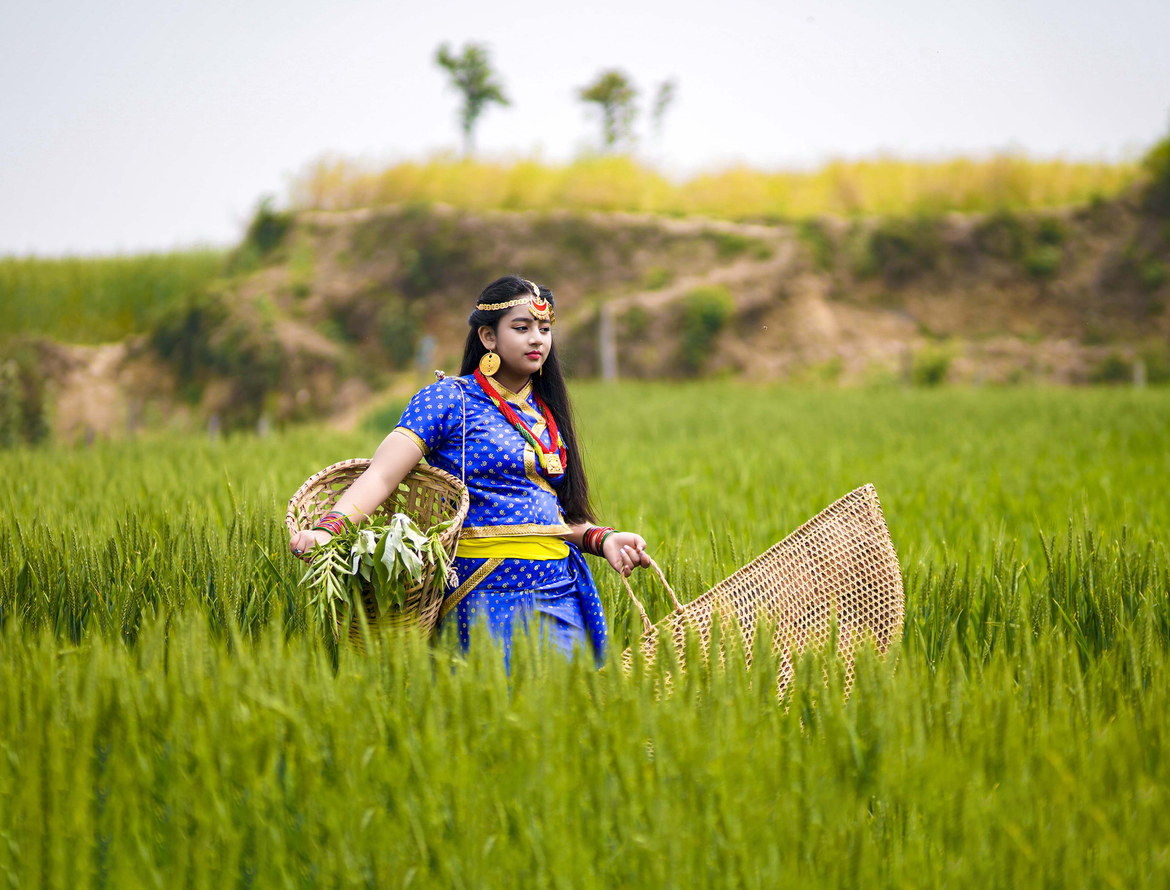 </yellow-tag> Ethnic <yellow-tag>Diversity</yellow-tag>