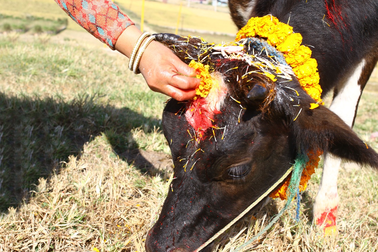 Culture and <yellow-tag>Heritage</yellow-tag> Tours