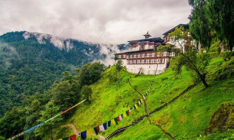 <yellow-tag>Highlights</yellow-tag> of Tours