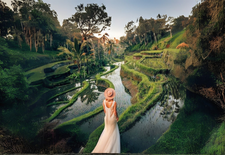 Ubud Rice Terraces